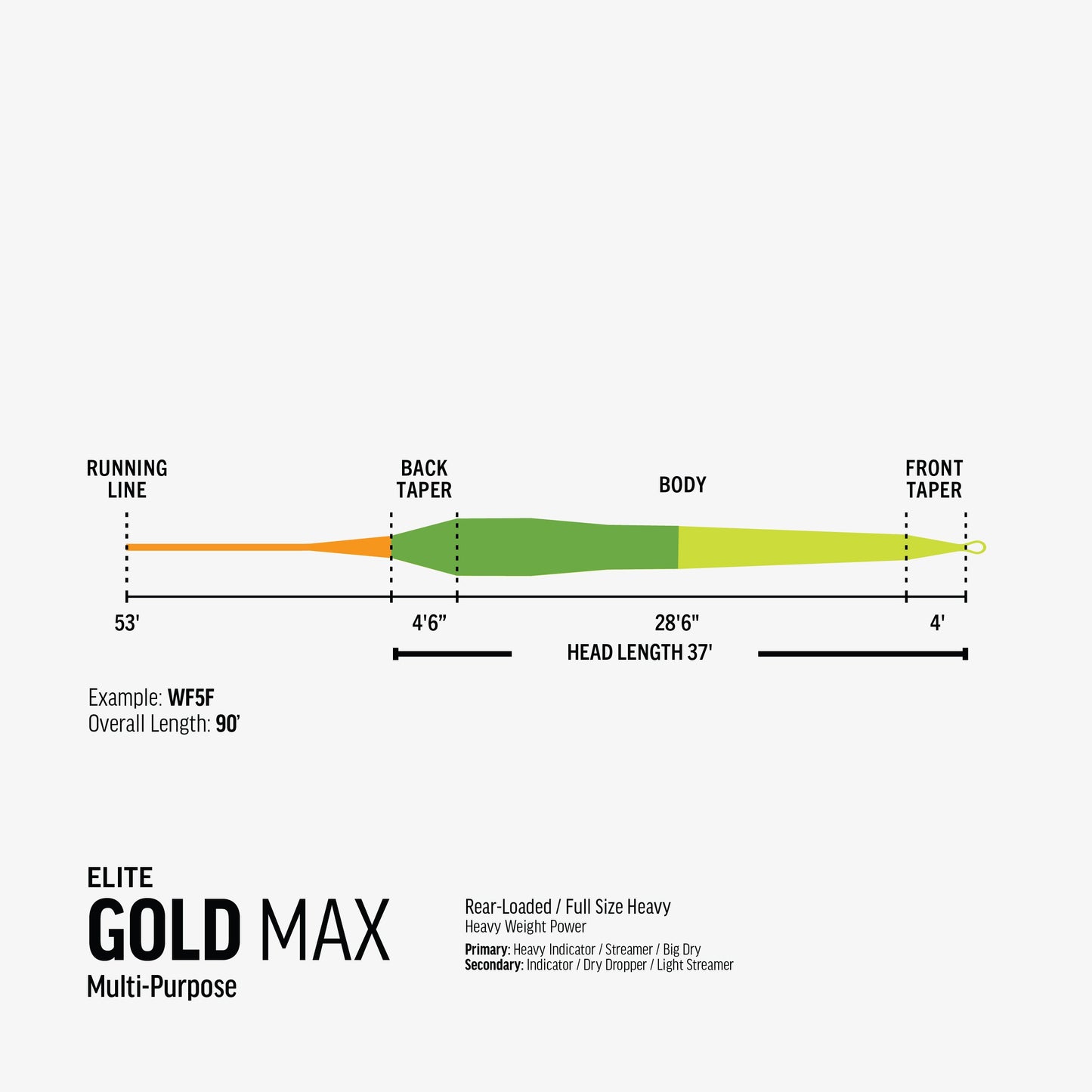 Rio - Elite Gold Max - Fly Line - Arbor Anglers