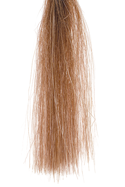 MFC - Senyo's Shadow Fiber