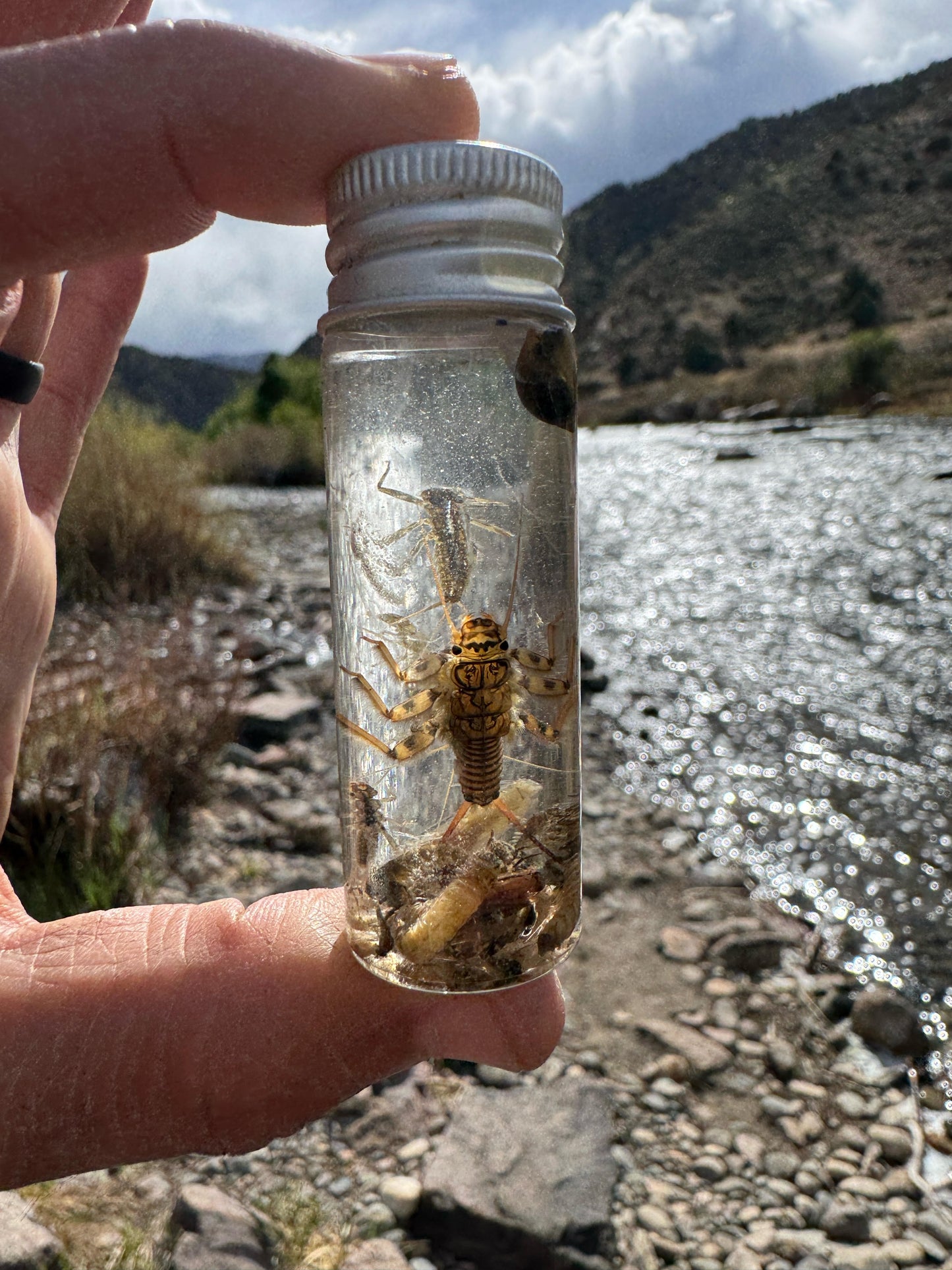 Entomology with Tyler Boroff