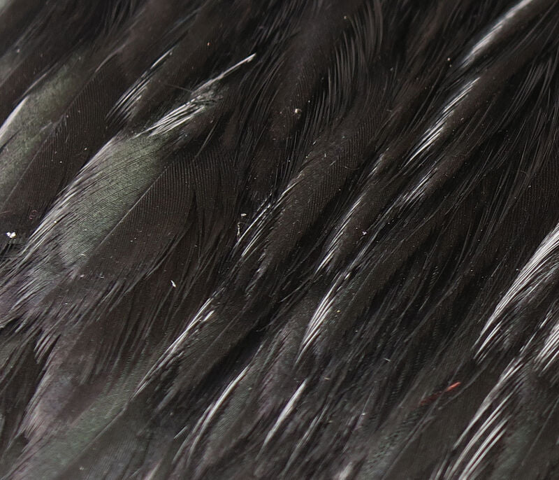Hareline Hen Cape