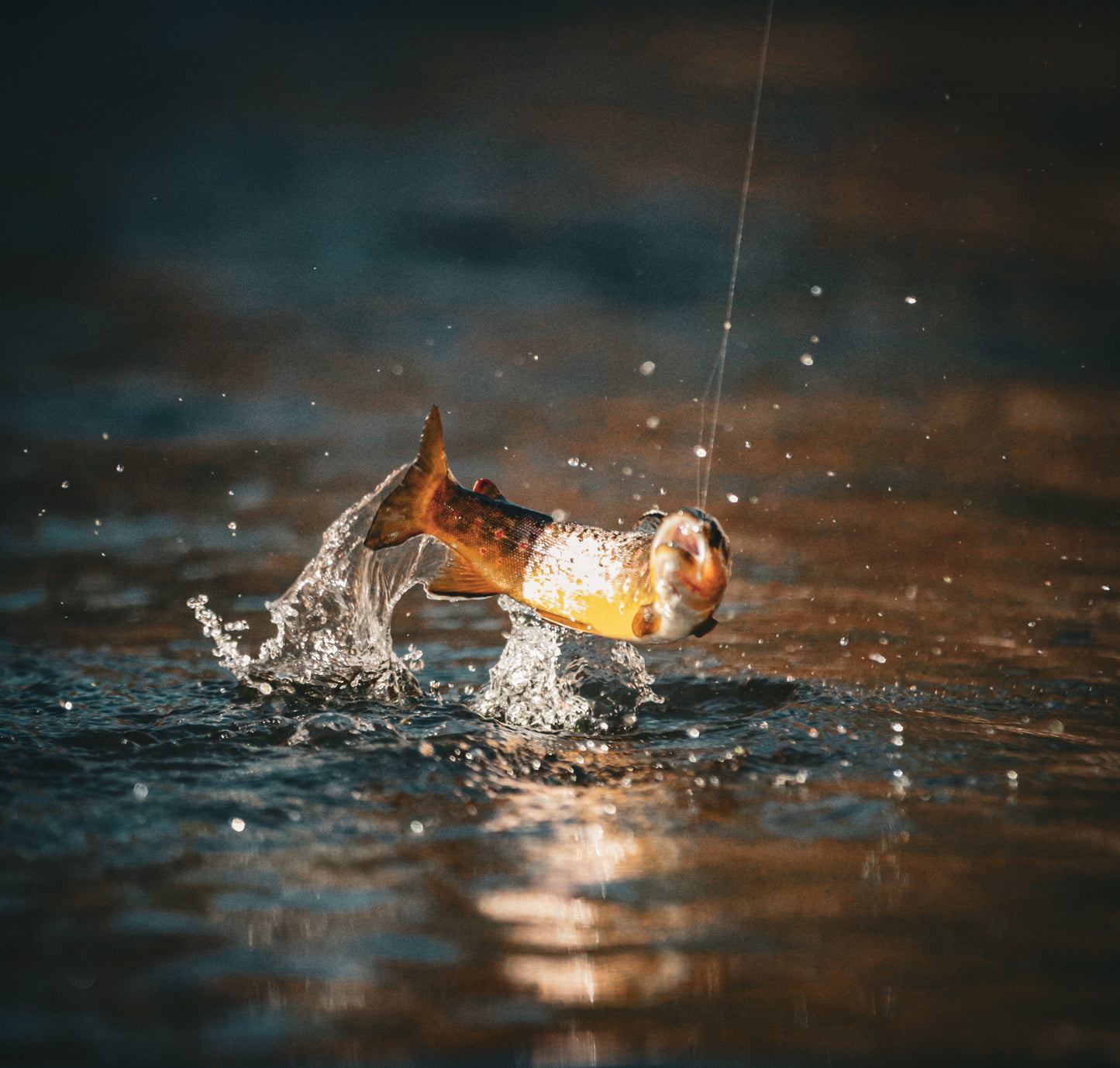 Discovering how to fish the Big Thompson - Arbor Anglers