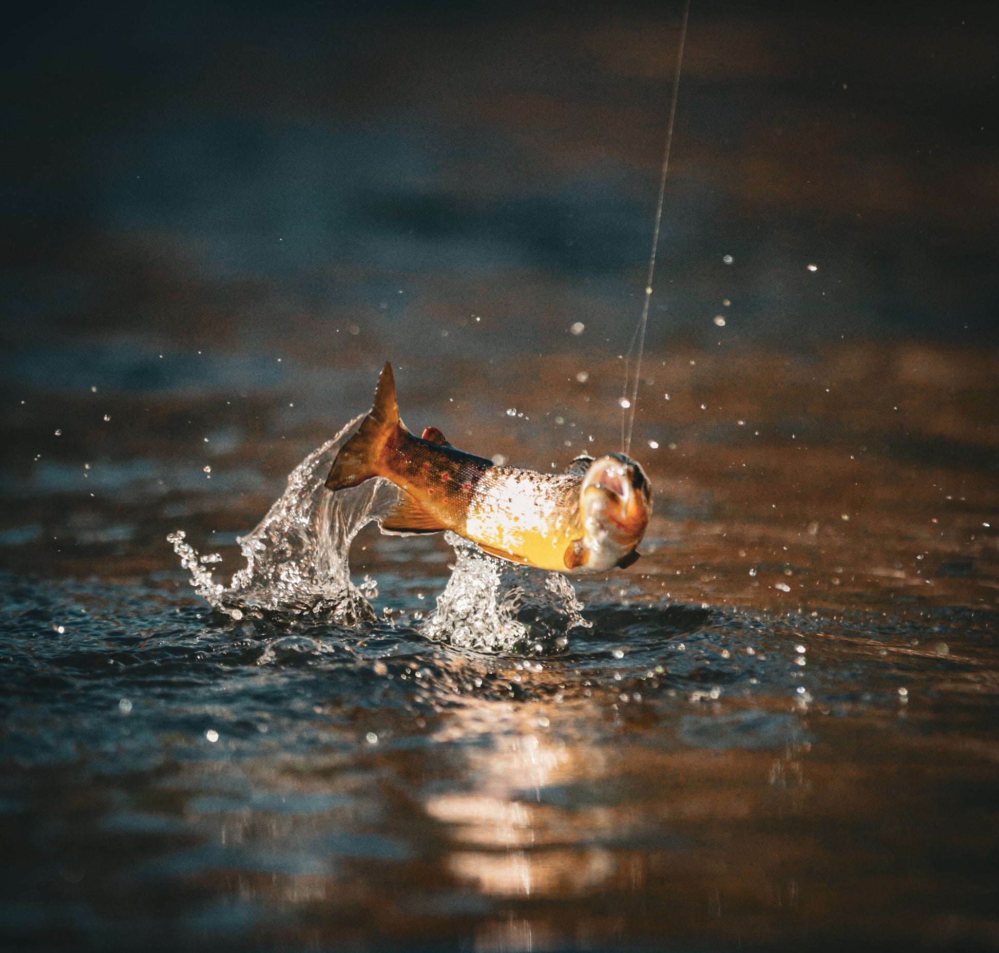 Discovering how to fish the Big Thompson - Arbor Anglers